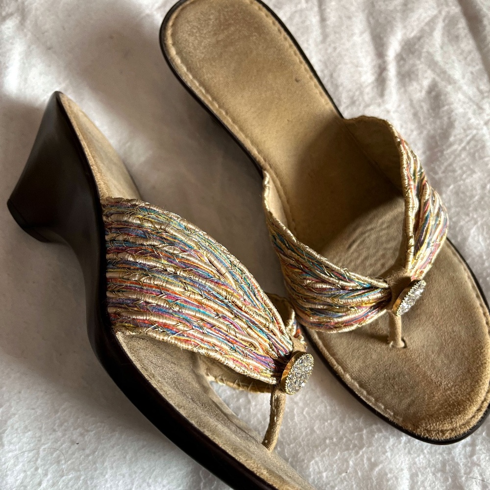Italian Shoemaker Size 8 rainbow slides